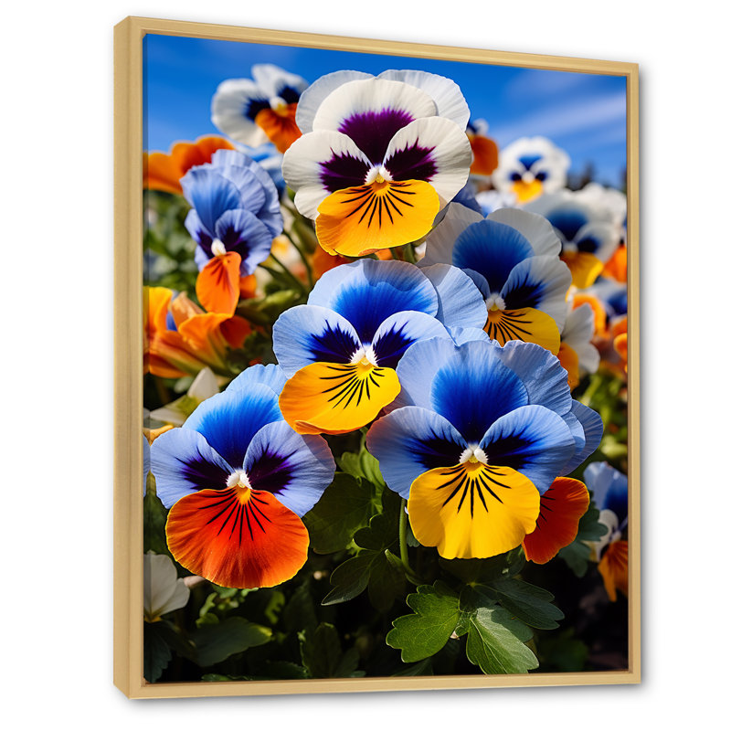 «Pansies Vibrant Pansies» sur toile, H 32 po x l 16 po x P 1 po, Cadre naturel flottant