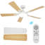 Ceiling Fan-2103513017-2103513022-2103513020