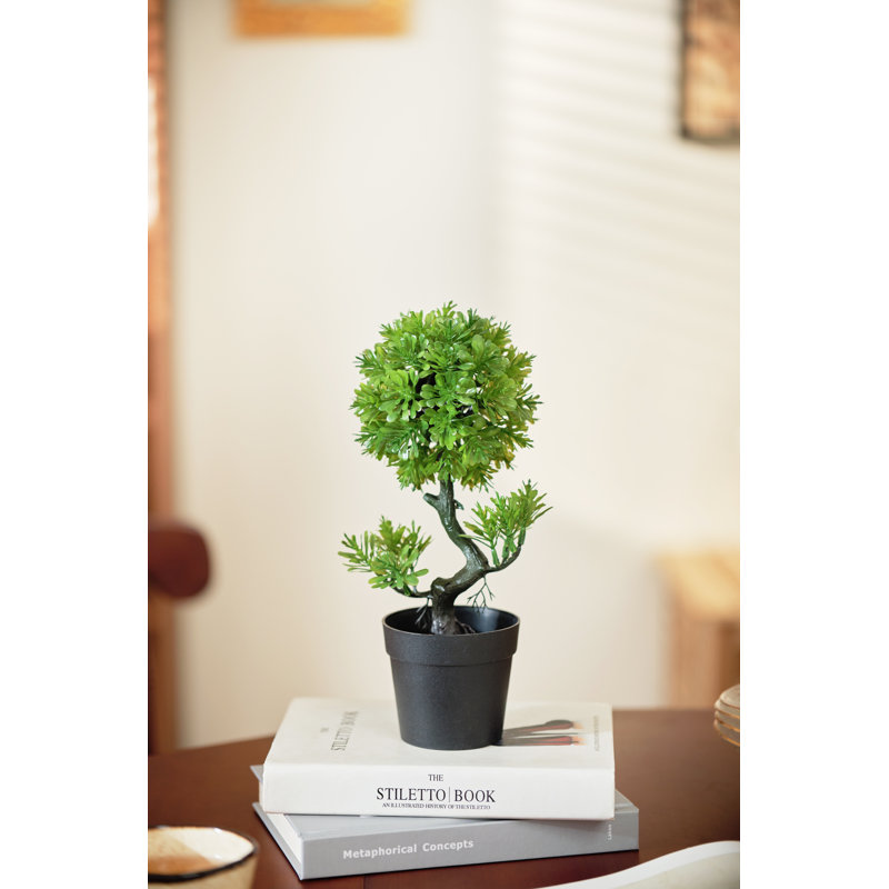 Topiaire en pot