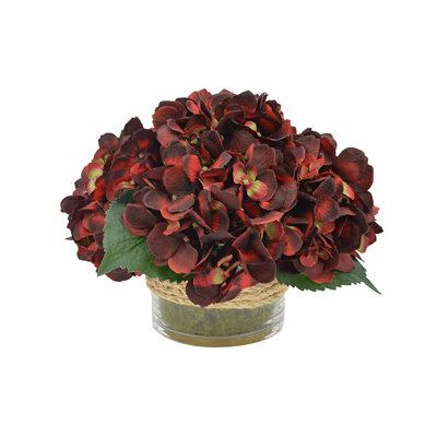 Arrangement floral Sarina Hydrangea dans un vase en verre avec mousse
