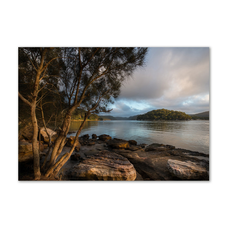 Tree By The River - Wrapped Canvas Print