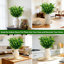 20 paquets de plantes artificielles vertes pour l'extérieur Printemps Été Décoration Résistant aux UV Faux blé Herbe Arbustes Eucalyptus Faux plantes en plastique Jardin Porche Décoration de boîte de fenêtre