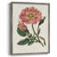 Impression florale rose sur cadre mixte - bois massif-1786406378