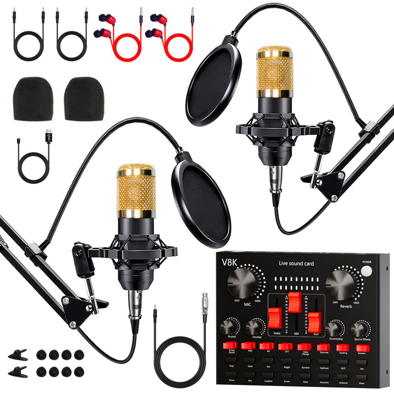 Ensemble de matériel de balado pour 2 personnes, ensemble de studio d'enregistrement avec deux micros BM800 et changeur de voix pour PC / mobile, diffusion en direct, chant, jeu, changeur de voix