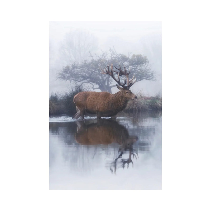 Mist And Hawthorn by Max Ellis - Wrapped Canvas Painting, 66.04 cm H x 45.72 cm W x 3.175 cm D