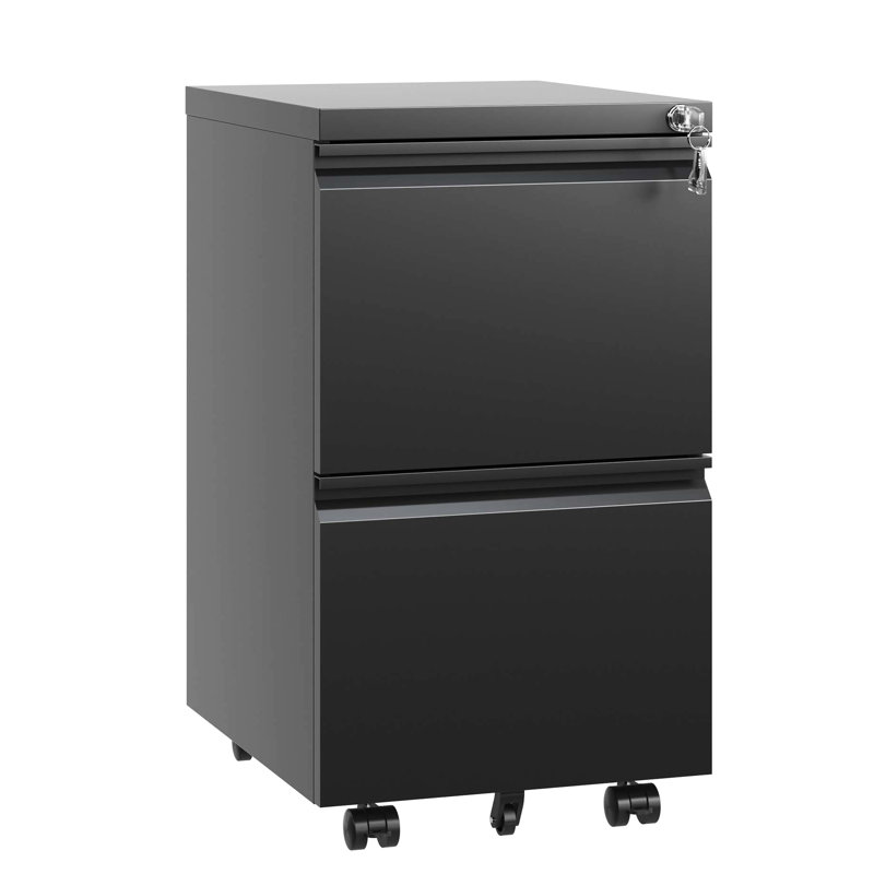 2 Drawer Metal Office File Cabinet In Black With Lock - Accommodates Legal/Letter/A4 Docs, Fully Assembled Workspace Item Lockable Drawers Papers, Supply