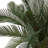 2ft. Cycas Artificial Tree, UV Resistant (Indoor/Outdoor)