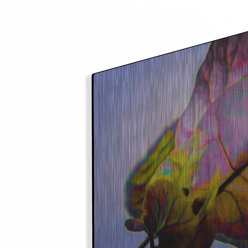 «Bougainvillea Leaf» par Pamela Plummer, H 12 po x l 16 po