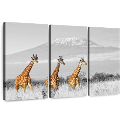 Trio de girafes Brampt