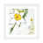 White Framed Paper is unavailable