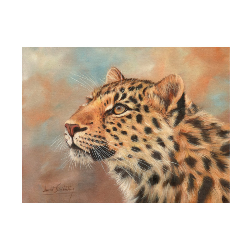 Art sur toile David Stribble Leopard Study 3, H 14 po x l 19 po