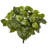 Pothos Artificial Plant