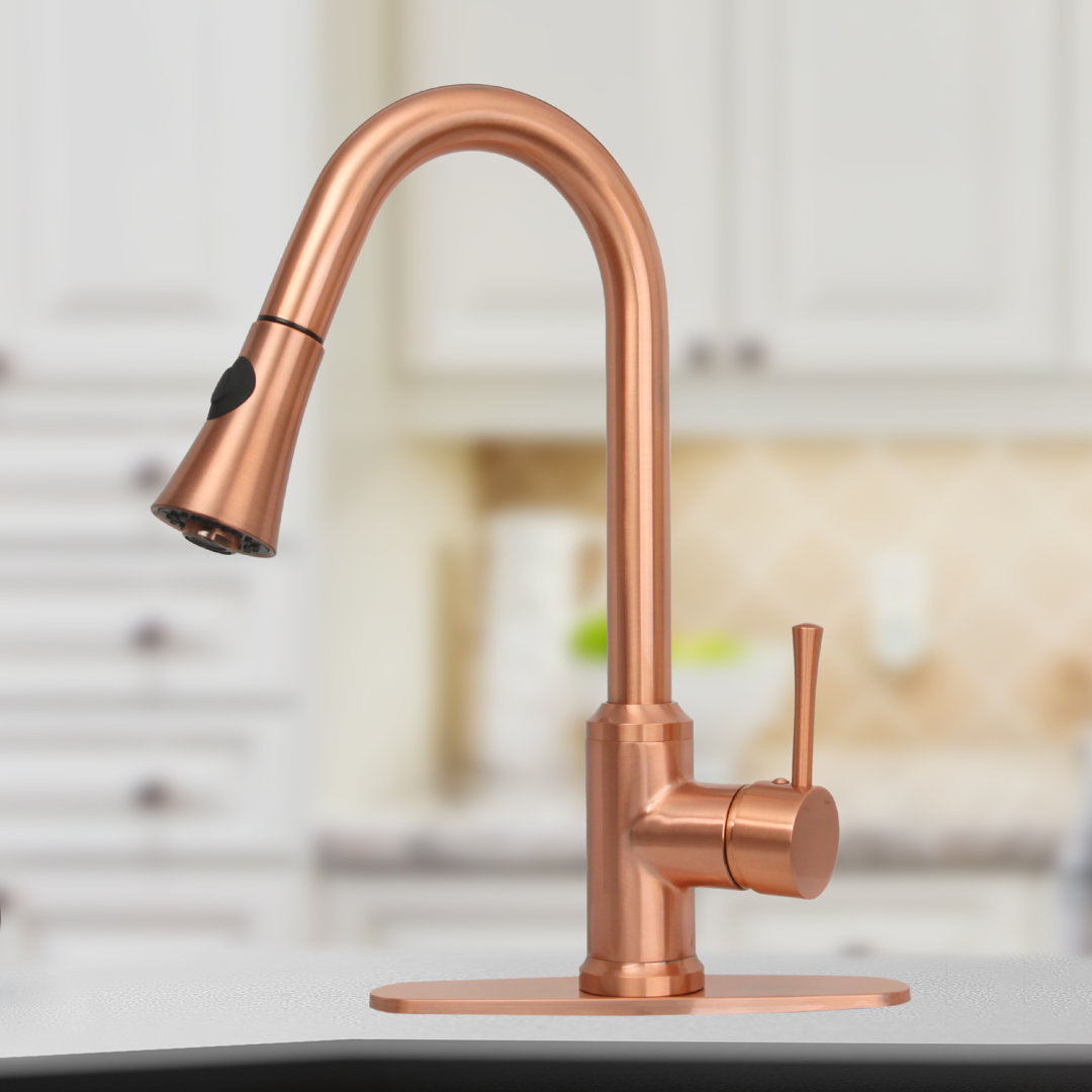 Pull Down Single Handle Kitchen Faucet With Deck Plate Akicon
