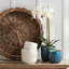 Round Trays