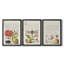 Hoefnagel, spéculation tropicale - toile encadrée sur mesure - 3 pièces-468104959-468104954