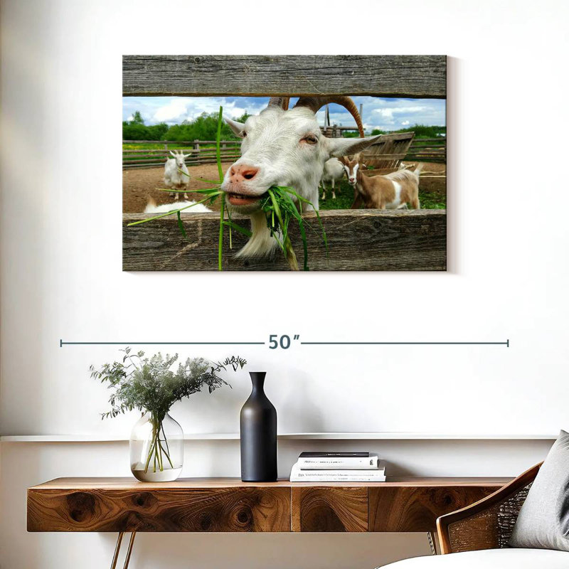 Brampt Euphoric Goat, 24" H x 36" W