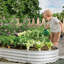 Jardinière surélevée galvanisée