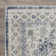 Aldolivio Oriental Indoor Rug