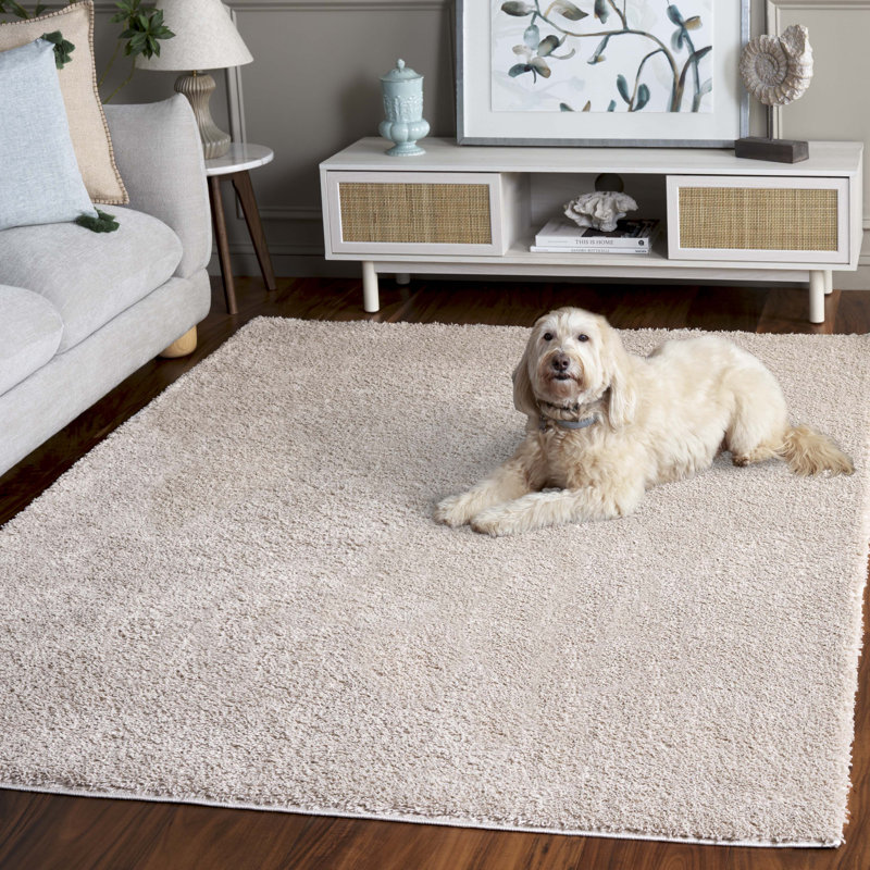 Tapis à poils longs Caigan Penelope Performance, Rectangle 5 pi 3 po x 7 pi 6 po