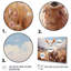 Country Charm Pastel Meadows II, reproduction d'art sur toile-1248873330-1248873331