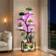 Plant Stand