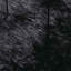 Shaggy Rug High Pile NAVARRA Black Polyester-980338806