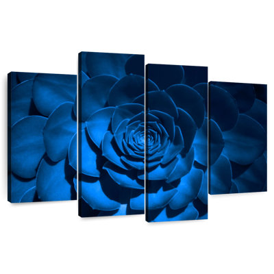 Harnek Blue Rose Succulent