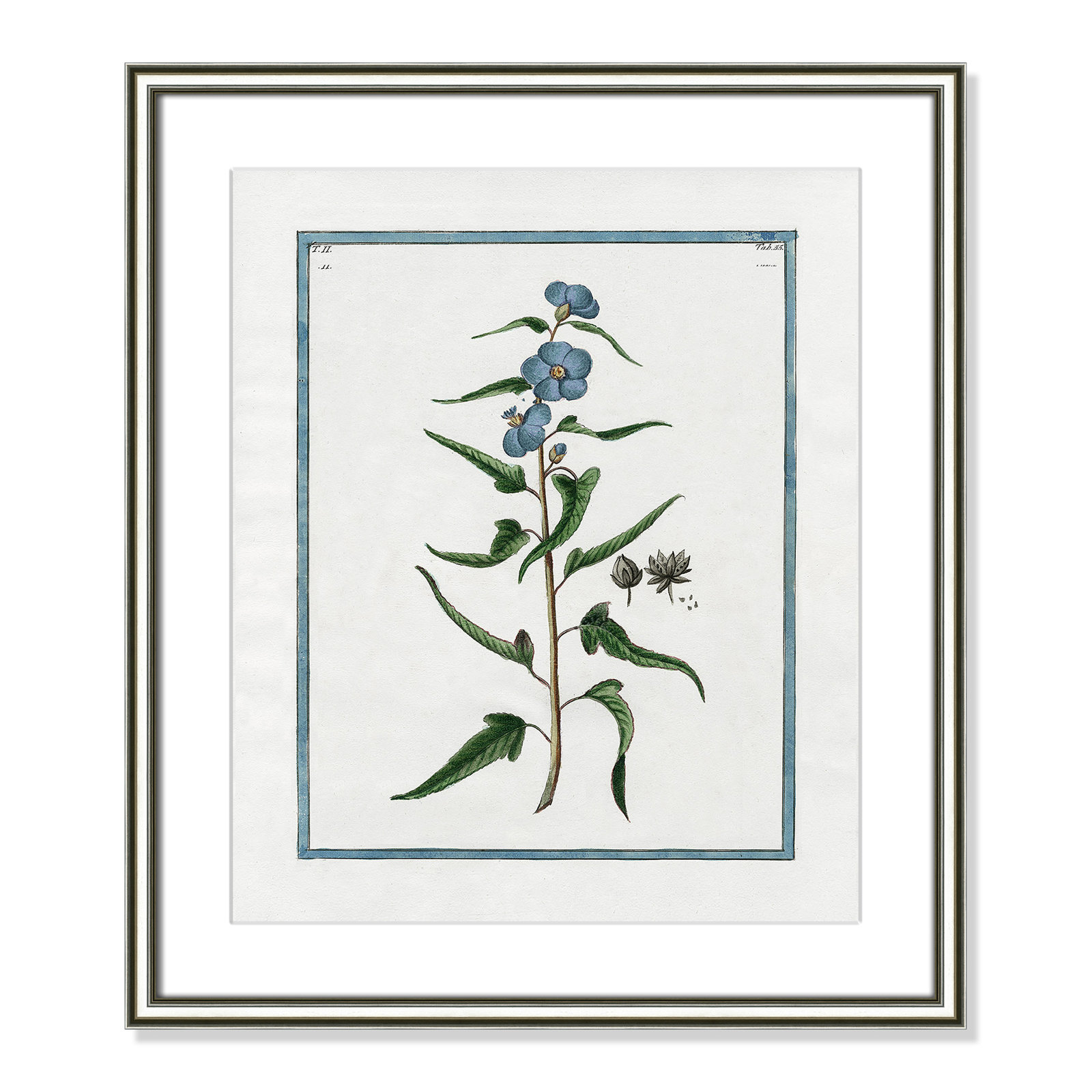 Colombe "Shabby Elegance Botanical I" Print, 17.25" W x 20.25" H, Silver Framed