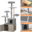 139.95cm H Cat Tree-730470362