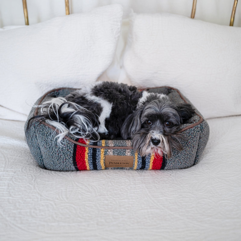 Lit pour chien Pendleton Vintage Camp Kuddler, Vert bruyère