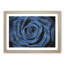 Pretty Blue Rose - Framed Print-56758324-56758325