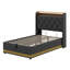 Upholstered Bed, 360 Surround LED Function, Buttons/Apps/Remote Control, Hydraulic Storage Bed With USB Type-C Charging-106601945
