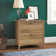 Khadesha 32'' Wide 2 -Drawer File Cabinet