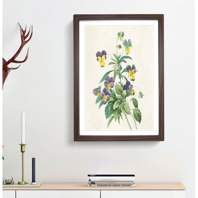 Wild Pansy Flowers by Pierre-Joseph Redoute - Framed Print