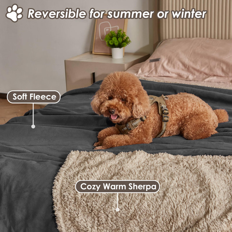Pet Blanket, Grey 