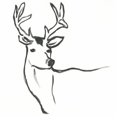 Minimal cerf I