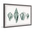 Four Shells - Single Picture Frame Print-255475738