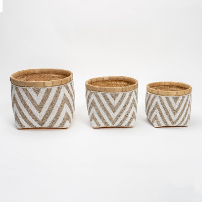 Lily's Living Bamboo Basket