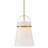 Medium Modern Downrod Pendant Light-1641557206