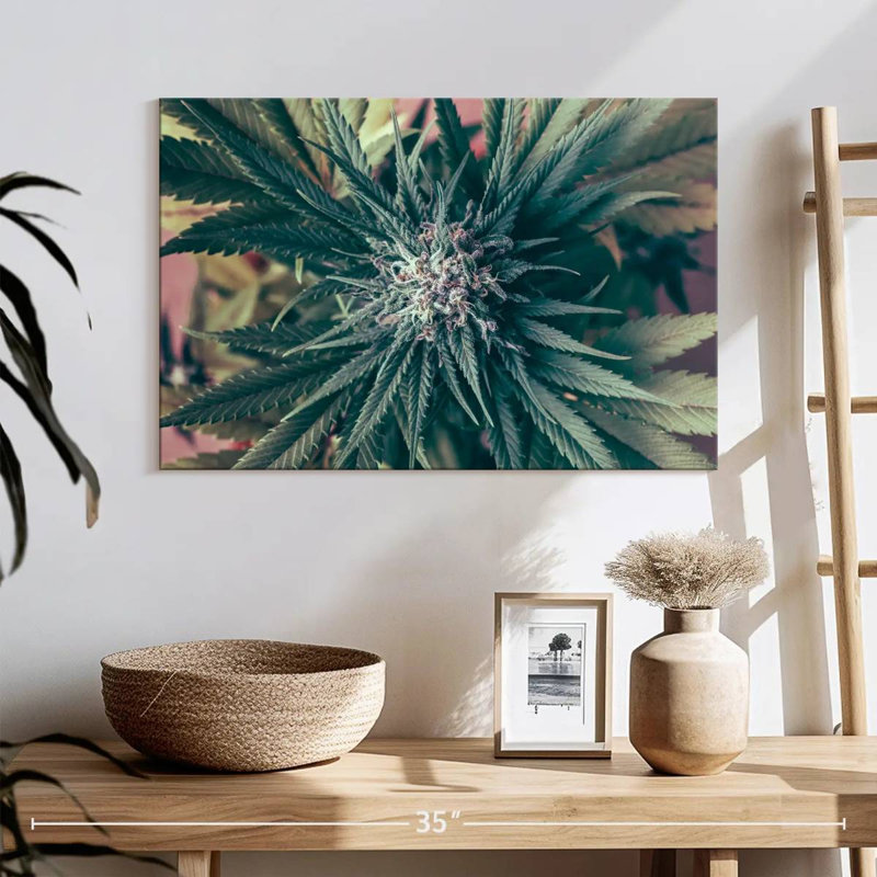 Harnek Marijuana Blossom, H 16 po x l 24 po