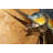 Manervia Sailfish Statue