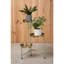 Bibbins Plant Stand