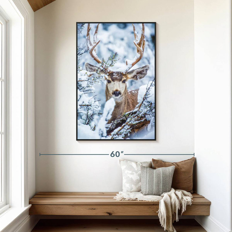 Cerf mulet d'hiver, Cadre flottant noir, 31 po x 46 po