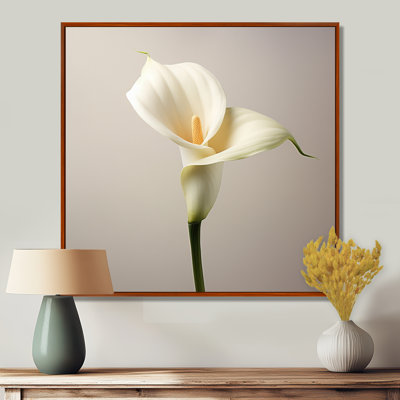 Gros plan sur une fleur de lis arum blanc - art mural Lily