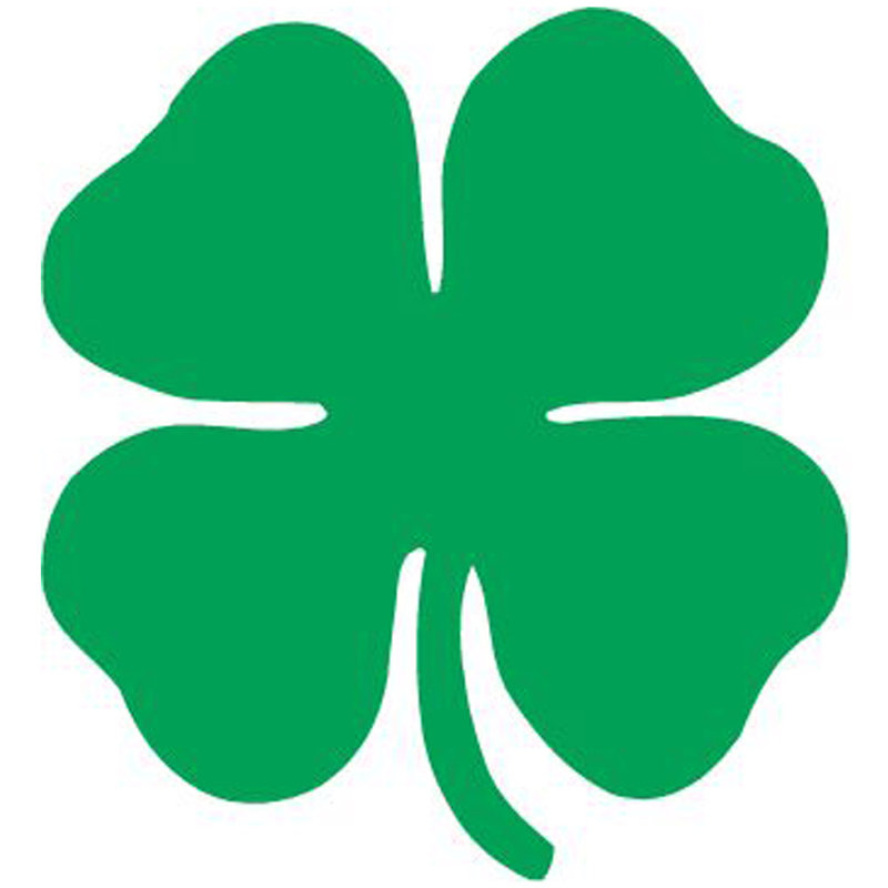 Adhésif décoratif du trèfle de la Saint-Patrick, H 24 po x l 22 po