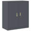 Storage Cabinet-1046416332