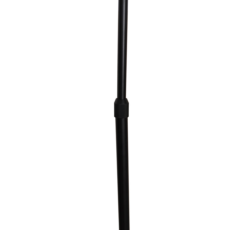 Eckehard 75.6'' Black Arched Floor Lamp, Black