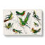 Collection Of Hummingbirds XXV by Oliver Goldsmith - Wrapped Canvas-55371948
