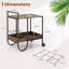 Akilesh Metal Bar Cart