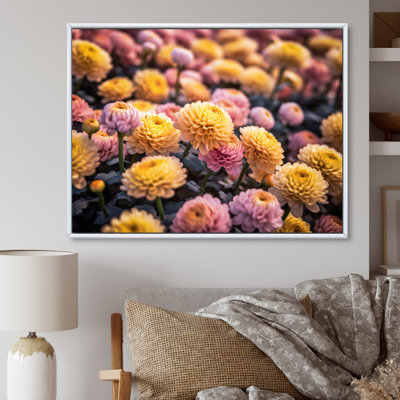 «Yellow Yellow Pink Chrysanthemums Field» sur impression sur toile